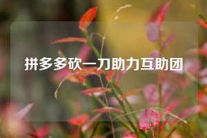 拼多多砍一刀助力互助团