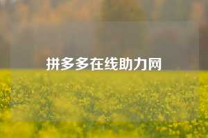 拼多多在线助力网