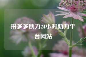 拼多多助力24小时助力平台网站