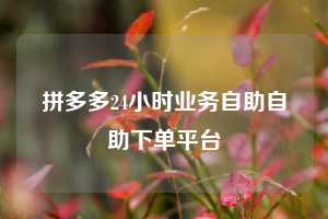 拼多多24小时业务自助自助下单平台