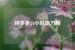 拼多多24小时助力网