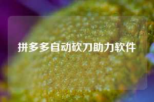 拼多多自动砍刀助力软件