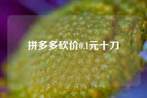 拼多多砍价0.1元十刀