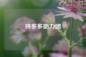 拼多多助力团