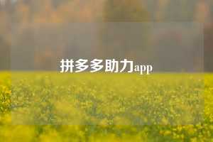 拼多多助力app