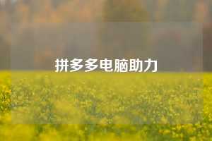 拼多多电脑助力