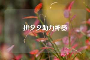 拼夕夕助力神器