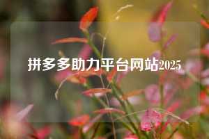 拼多多助力平台网站2025