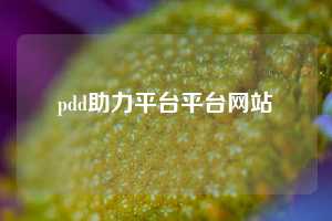 pdd助力平台平台网站
