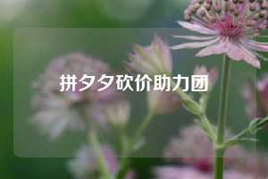拼夕夕砍价助力团