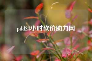 pdd24小时砍价助力网