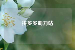 拼多多助力站