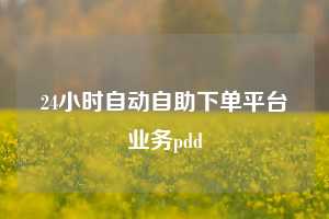 24小时自动自助下单平台业务pdd