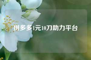 拼多多1元10刀助力平台