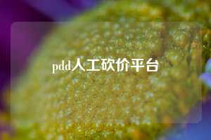 pdd人工砍价平台