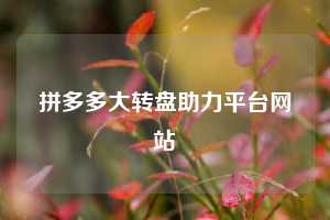 拼多多大转盘助力平台网站