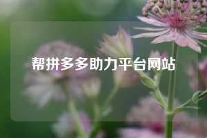 帮拼多多助力平台网站