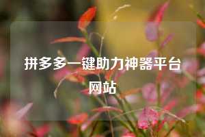 拼多多一键助力神器平台网站
