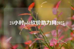 24小时pdd砍价助力网2025