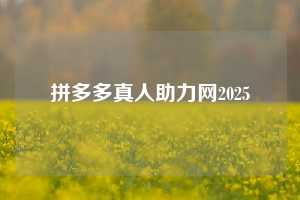 拼多多真人助力网2025