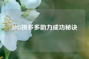 2025拼多多助力成功秘诀