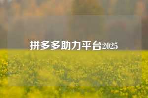 拼多多助力平台2025