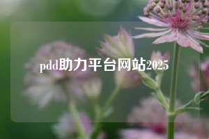 pdd助力平台网站2025