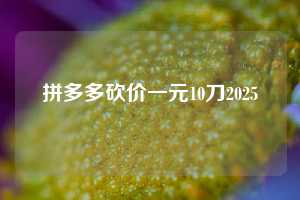 拼多多砍价一元10刀2025