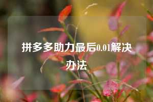 拼多多助力最后0.01解决办法