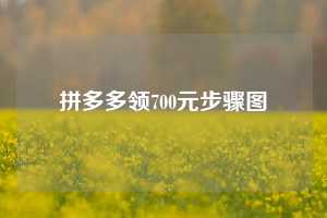 拼多多领700元步骤图