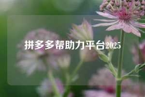 拼多多帮助力平台2025