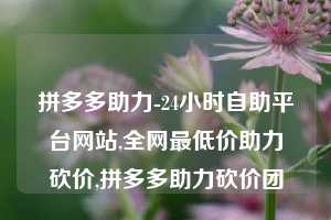 拼多多助力-24小时自助平台网站,全网最低价助力砍价,拼多多助力砍价团