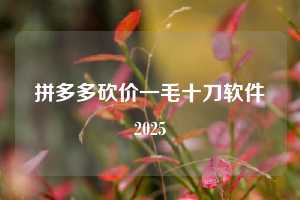 拼多多砍价一毛十刀软件2025