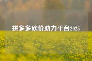 拼多多砍价助力平台2025