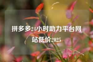 拼多多24小时助力平台网站低价2025