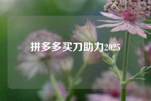 拼多多买刀助力2025