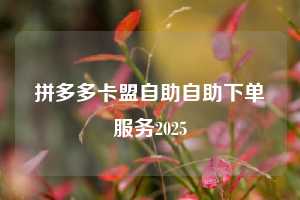 拼多多卡盟自助自助下单服务2025
