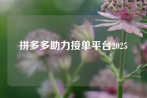 拼多多助力接单平台2025