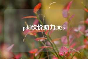 pdd砍价助力2025