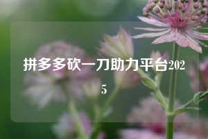 拼多多砍一刀助力平台2025