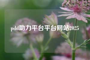 pdd助力平台平台网站2025