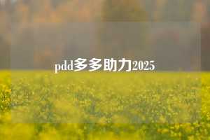 pdd多多助力2025