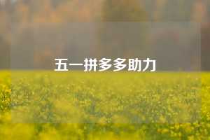 五一拼多多助力