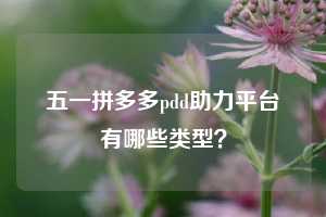 五一拼多多pdd助力平台有哪些类型？