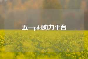 五一pdd助力平台