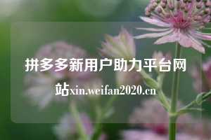 拼多多新用户助力平台网站xin.weifan2020.cn