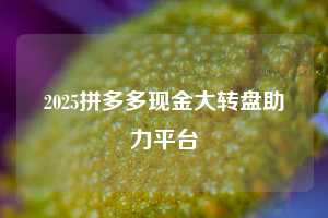 2025拼多多现金大转盘助力平台