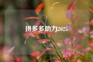 拼多多助力2025