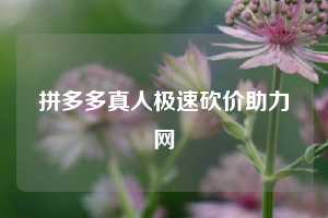 拼多多真人极速砍价助力网