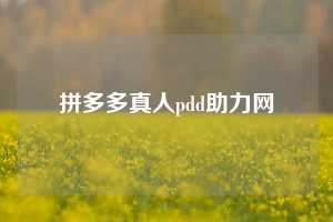 拼多多真人pdd助力网